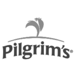 Pilgrims